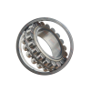 KMR_4831
